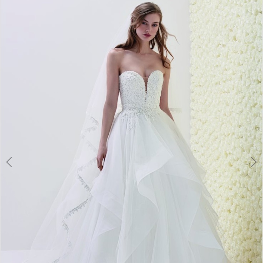 Pronovias Wedding Dress